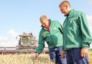 Комбайнеры из СФ «Клецкий» первыми среди молодежных экипажей Беларуси собрали 2 тысячи тонн зерна