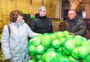 Хватает ли в Беларуси отечественных овощей, проверили КГК и профсоюзы