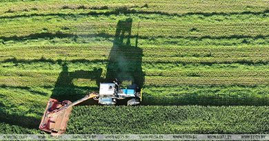 В Беларуси скошено более 75% площадей трав
